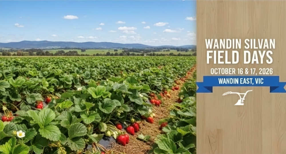 Wandin Silvan Field Days Banner 2b